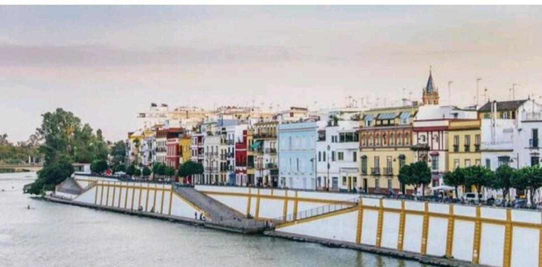Luminoso Y Acoger Loft, Excelente Ubicacion Appartement Sevilla Buitenkant foto